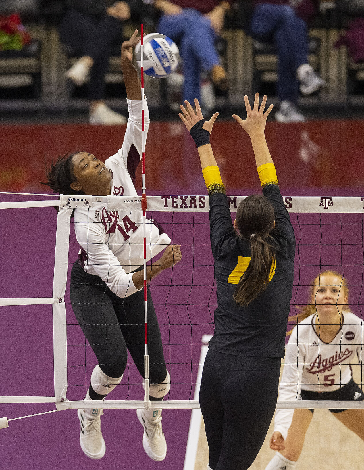 Aggie volleyball